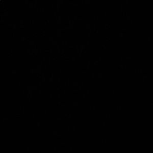 Meet your Posher, Kara